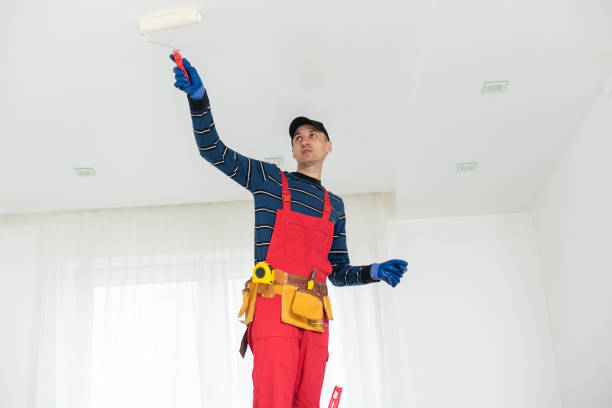 Best Mold Documentation for Insurance Claims  in Angola, IN