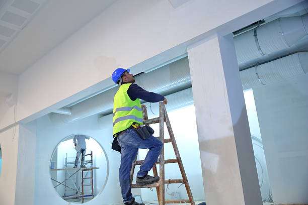 Best Emergency Mold Remediation  in Angola, IN