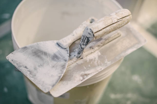 Best Residential Mold Inspection & Testing  in Angola, IN
